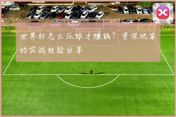 世界杯怎么压球才赚钱?资深玩家的实战经验分享