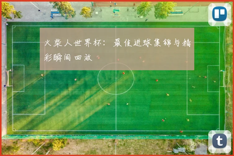 火柴人世界杯：最佳进球集锦与精彩瞬间回放