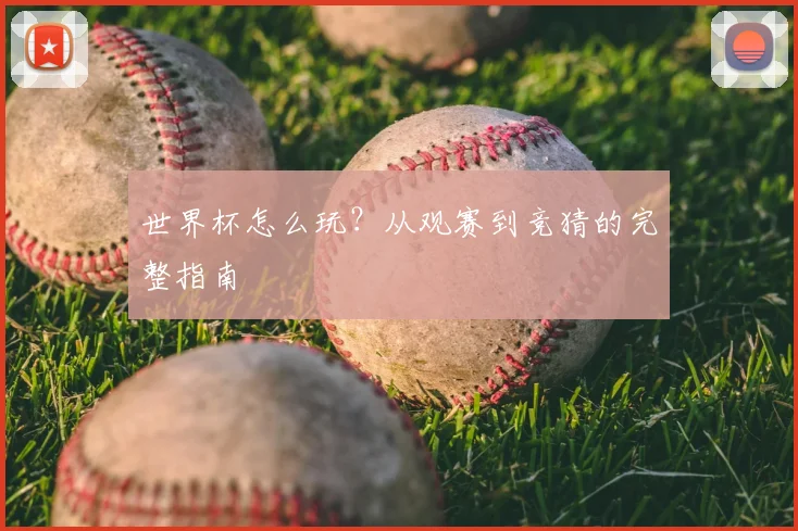 世界杯怎么玩?从观赛到竞猜的完整指南
