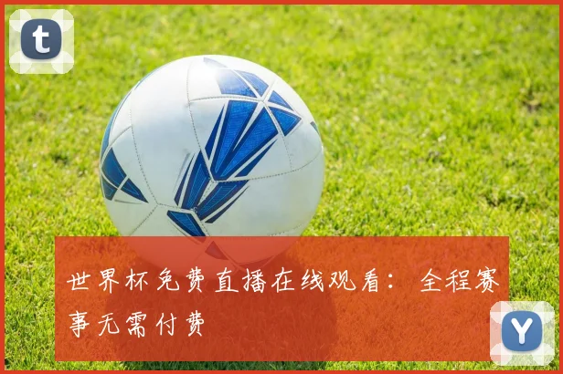 世界杯免费直播在线观看:全程赛事无需付费